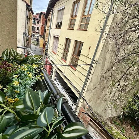 Apartment Barrio Humedo León