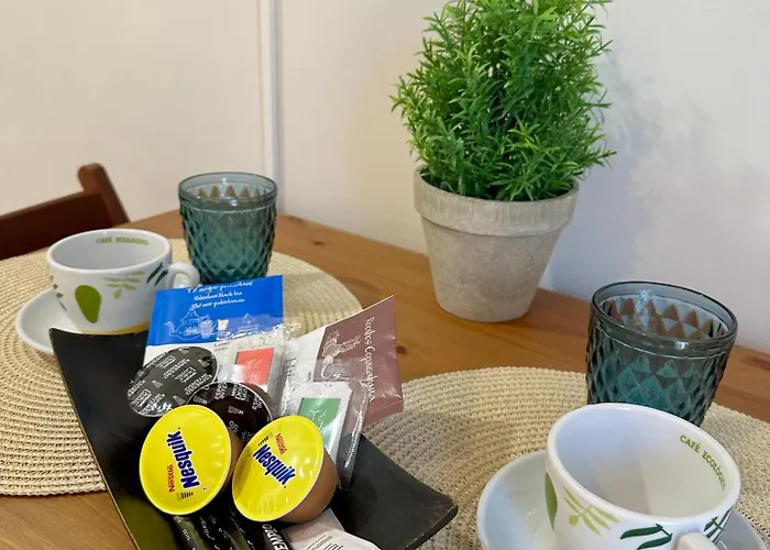 아파트 Centro 레온